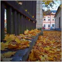Podzim u zámku
