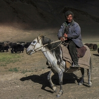 Lidé z Ladaku - pastavec 