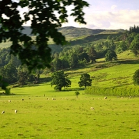 Zelené pahorky skotské