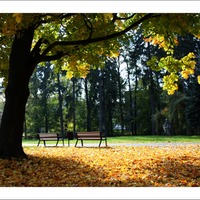 Podzim v parku