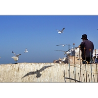 Zoufalství i naděje na pobřeží marocké Essaouiry 