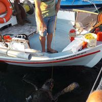 Rybář krmí želvu