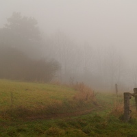 Mlha ke krájení