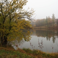 podzimní mlhy