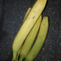 Noční zátiší banánů