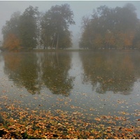 Podzim na rybníku