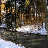 Zima u potoka