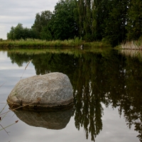 Rybník u Těšovic.