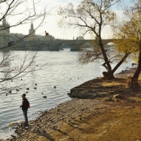 Listopadové ráno u Vltavy