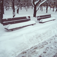 Ladovská zima 2010 V.