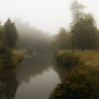 Mlhavá příroda
