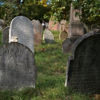 ...židovský hřbitov...III.
