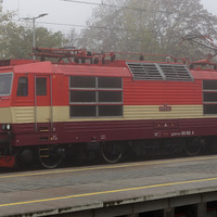 S499 2002