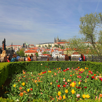 Rozkvetlá Praha 