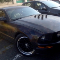 Mustang pro Jacka