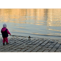 Děvčátko a holub na břehu Vltavy (vpodvečer)