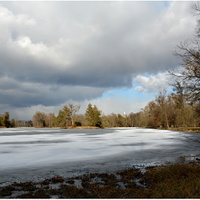 zamrzlý rybník