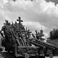 Muranów 