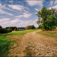 Vysočina - krajina u Svojanova