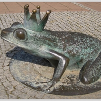 Zelená žaba - symbol Trenčanských Teplic