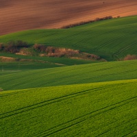 Slovácké pole