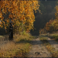 Březovka