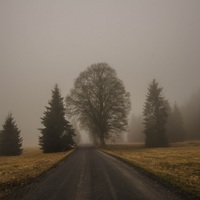 Mlhavá cesta na Pohoří na Šumavě
