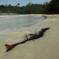 Klong Prao beach