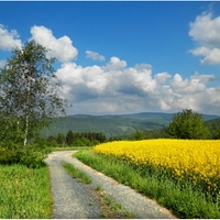 Už kvete