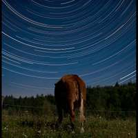 Startrails