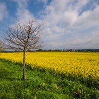 podvečer u Borovan