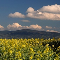 Krkonošská