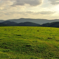 Zelený horizont