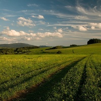 Podhůří Jeseníků