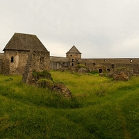 Bzovík