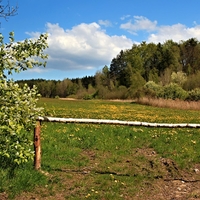 ...krajina s vůní střemchy......