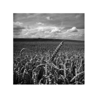 90_2016 krajina