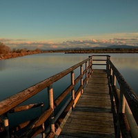 Podvečer u vody