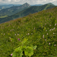 Malá Fatra