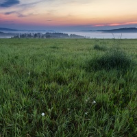 Pastviny Hraniční Petrovice