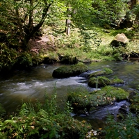 Kamenice Hřensko