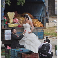Svatební fotografie .....