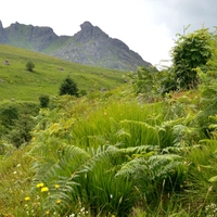 The_Cobbler_nad_Arrochar