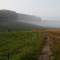 Krajinou podzimní mlhy