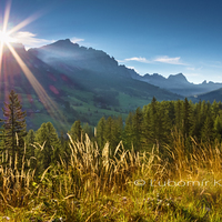 Dolomiti