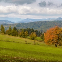 Barvy podzimu