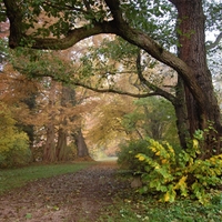 lednický podzim