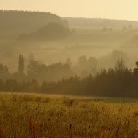 Ranní toulání po Brdech