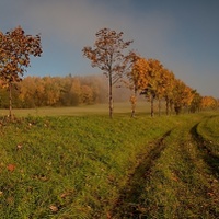 Trochu podzimu