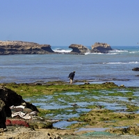 Rybáři na pobřeží Atlantiku (Essaouira)